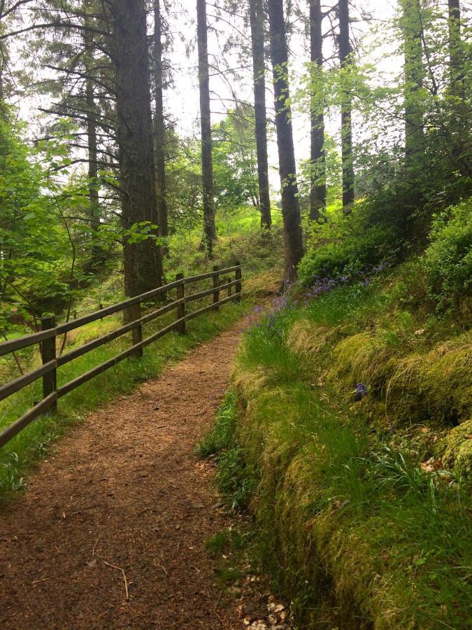 Appartamento Mullarts Church -the Glenann *